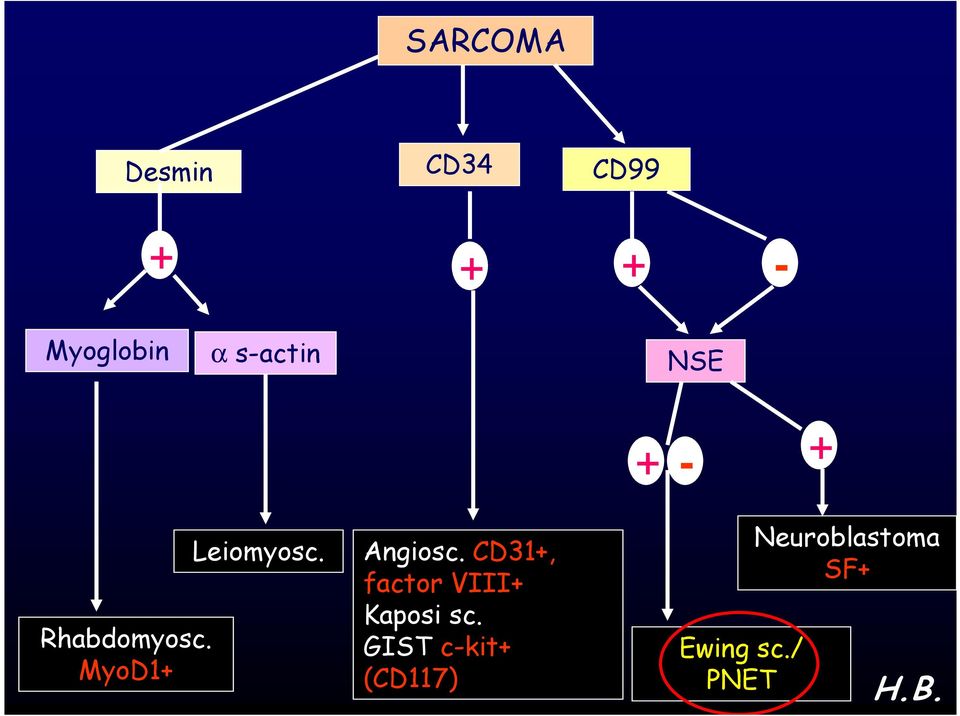 Angiosc. CD31+, factor VIII+ Kaposi sc.