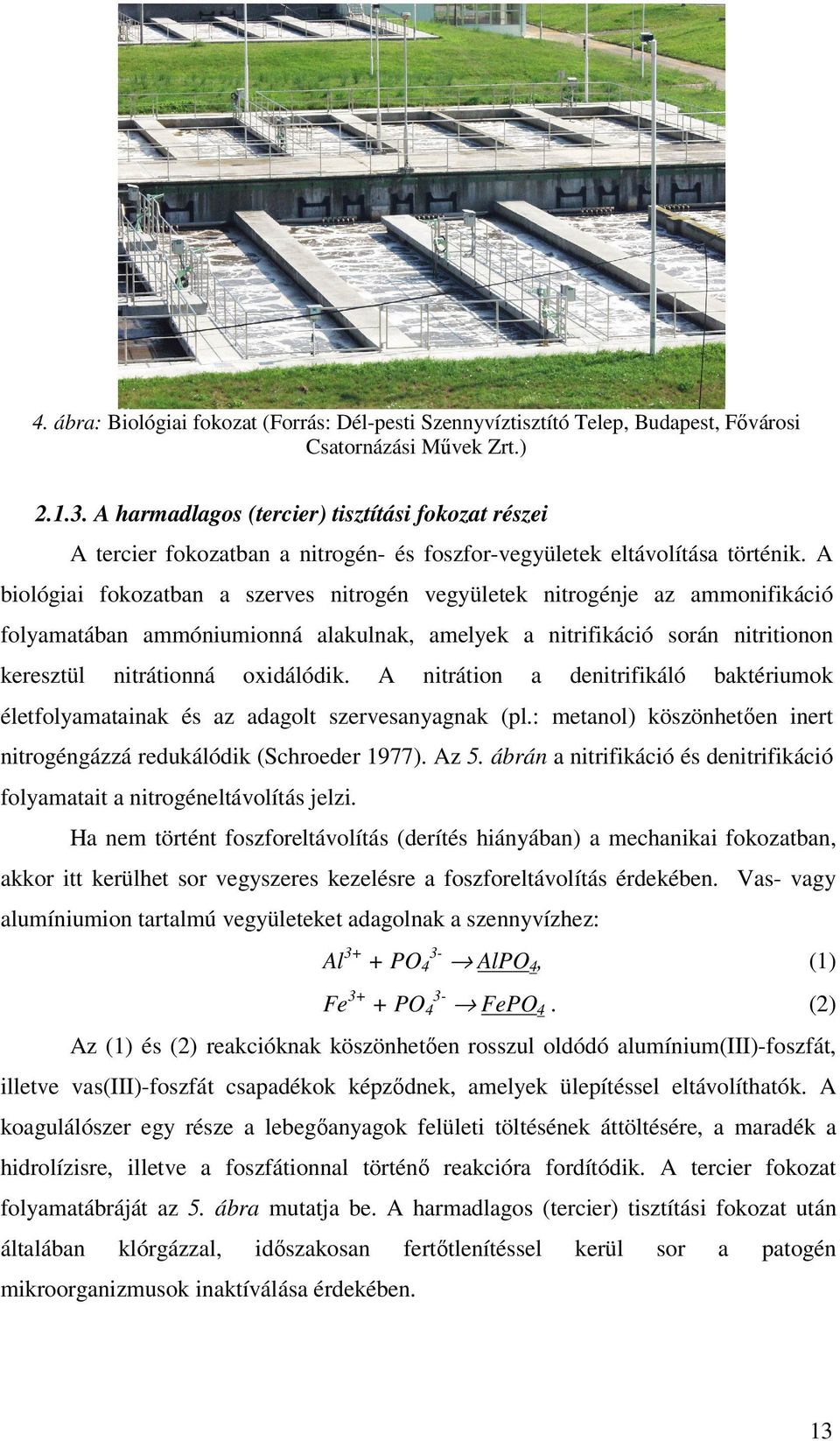 A biológiai fokozatban a szerves nitrogén vegyületek nitrogénje az ammonifikáció folyamatában ammóniumionná alakulnak, amelyek a nitrifikáció során nitritionon keresztül nitrátionná oxidálódik.