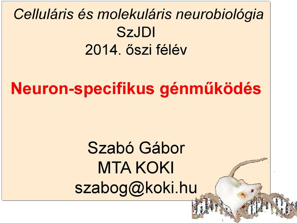 őszi félév Neuron-specifikus