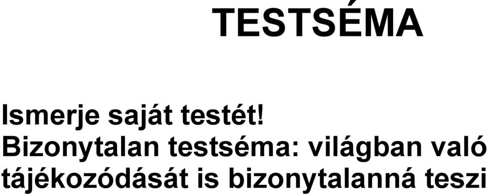 Bizonytalan testséma: