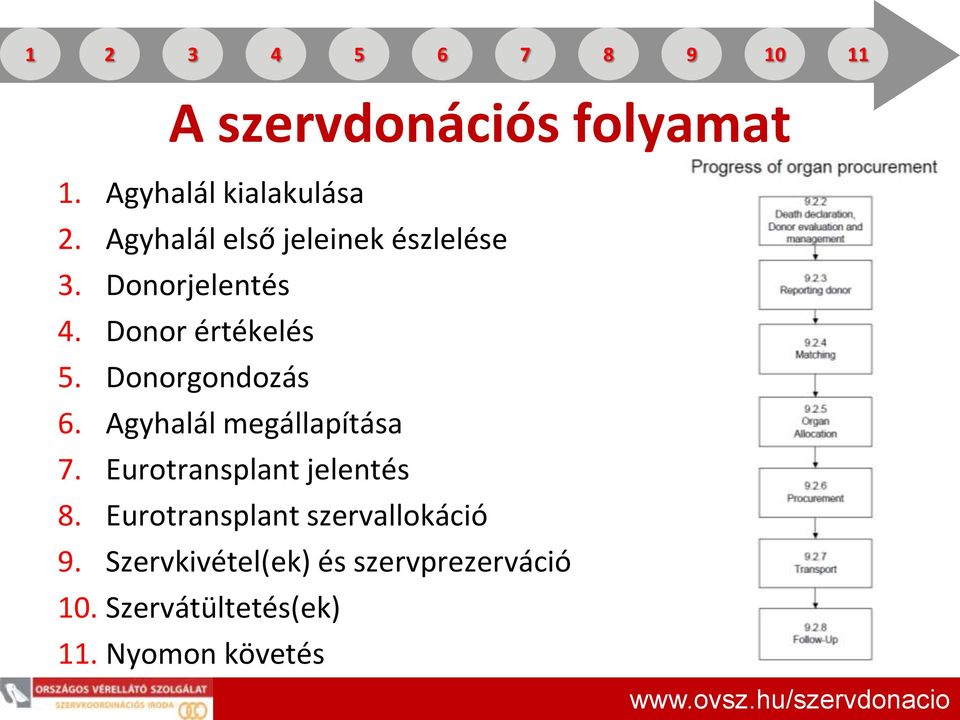 Donorgondozás 6. Agyhalál megállapítása 7. Eurotransplant jelentés 8.