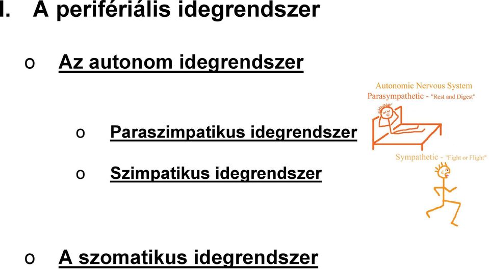 Paraszimpatikus idegrendszer