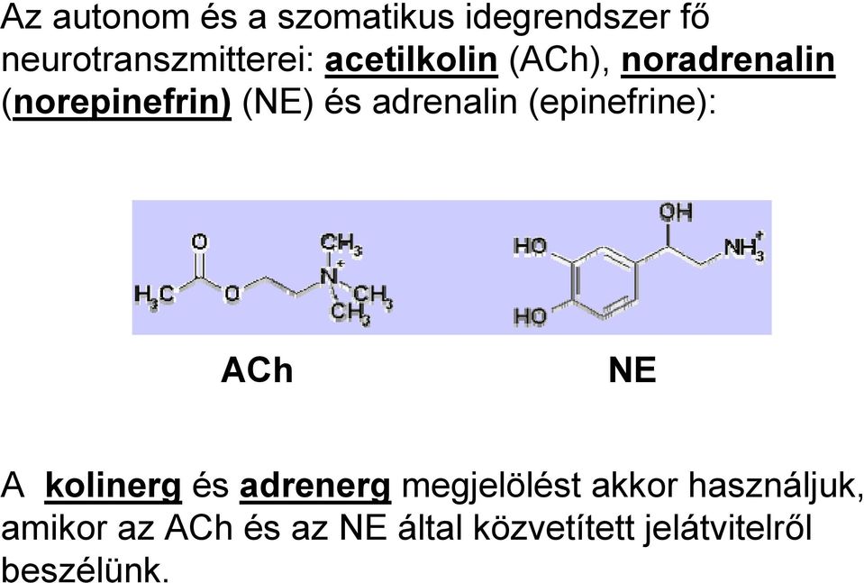 (epinefrine): ACh NE A kolinerg és adrenerg megjelölést akkor