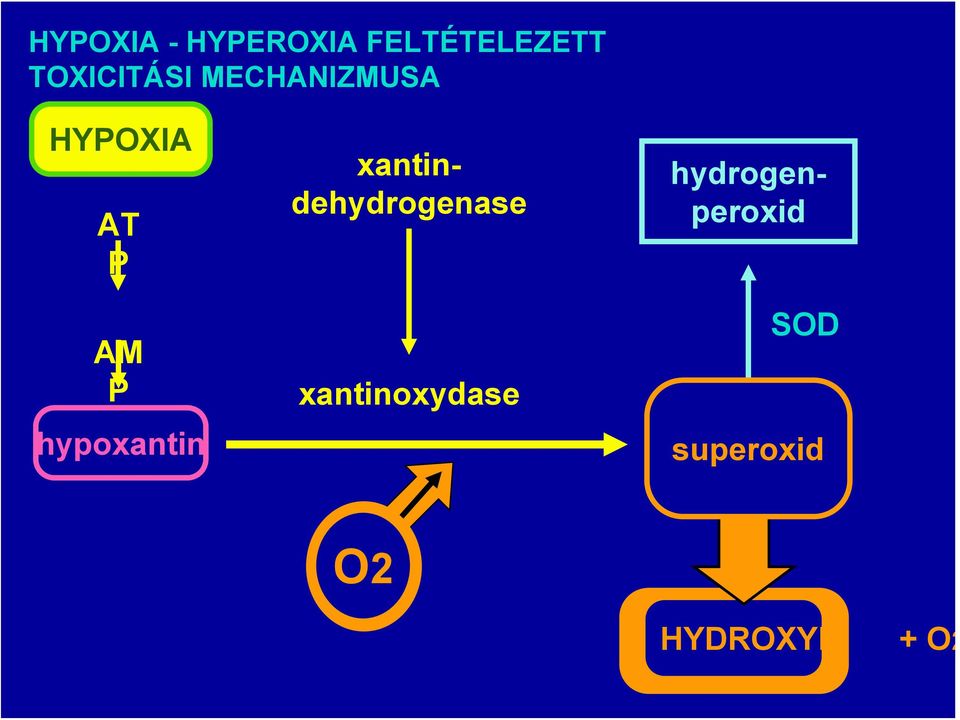 hypoxantin hydrogenperoxid