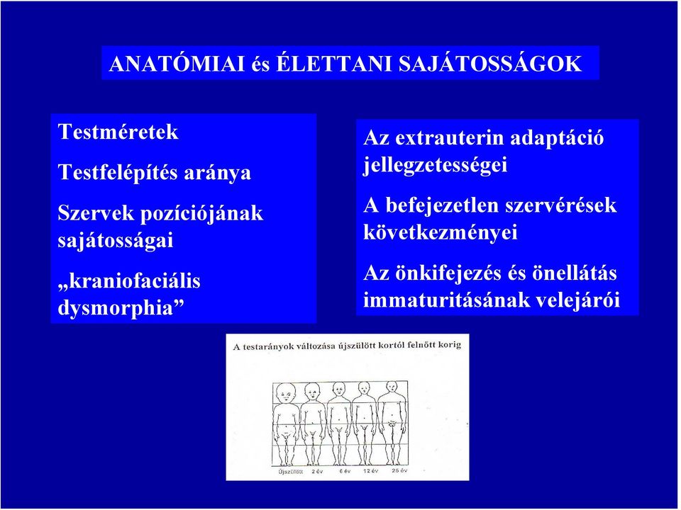 Az extrauterin adaptáció jellegzetességei A befejezetlen