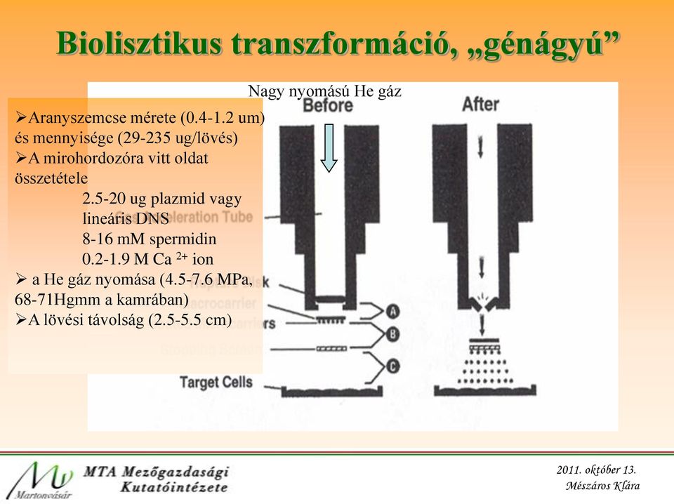 5-20 ug plazmid vagy lineáris DNS 8-16 mm spermidin 0.2-1.