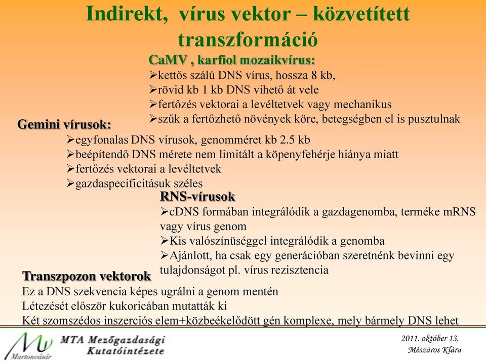 5 kb beépítendő DNS mérete nem limitált a köpenyfehérje hiánya miatt fertőzés vektorai a levéltetvek gazdaspecificitásuk széles RNS-vírusok cdns formában integrálódik a gazdagenomba, terméke mrns