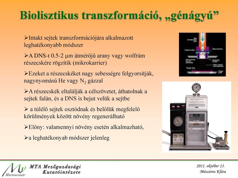 nagynyomású He vagy N 2 gázzal A részecskék eltalálják a célszövetet, áthatolnak a sejtek falán, és a DNS is bejut velük a sejtbe a