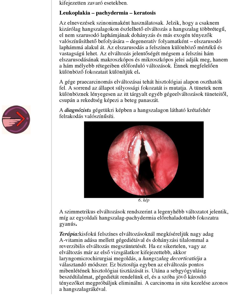 folyamatként elszarusodó laphámmá alakul át. Az elszarusodás a felszínen különböző mértékű és vastagságú lehet.