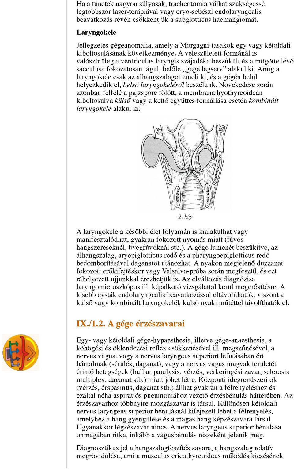 A veleszületett formánál is valószínűleg a ventriculus laryngis szájadéka beszűkült és a mögötte lévő sacculusa fokozatosan tágul, belőle gége légsérv alakul ki.