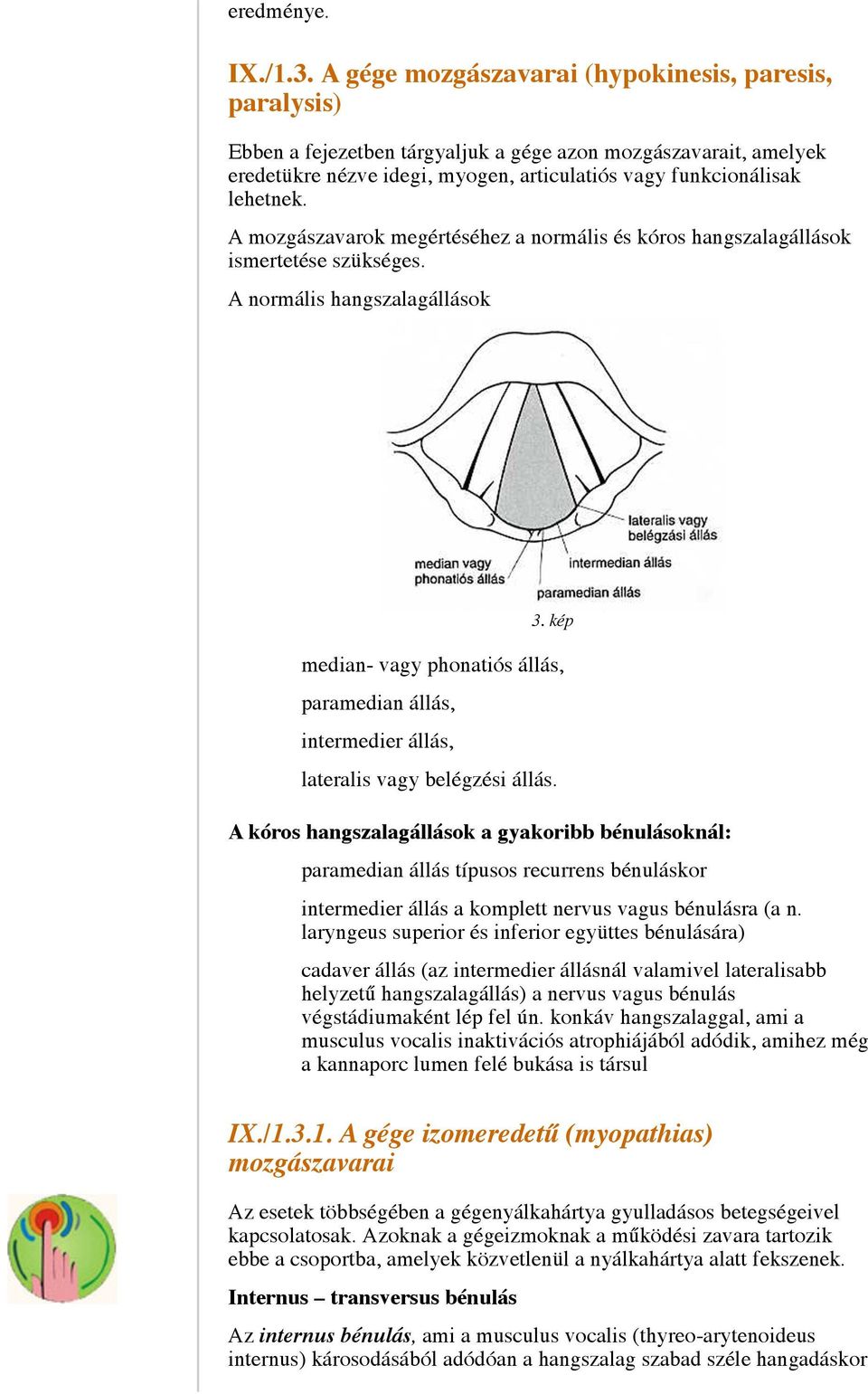 A mozgászavarok megértéséhez a normális és kóros hangszalagállások ismertetése szükséges. A normális hangszalagállások 3.