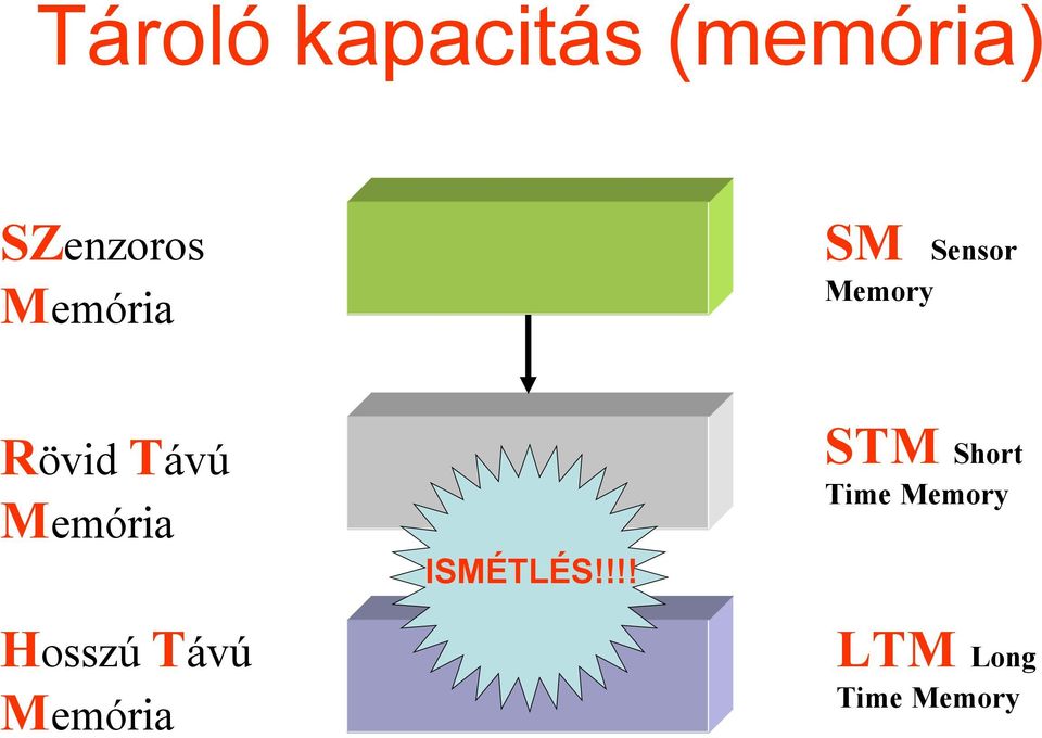 Short Sensor Memory Time Memory