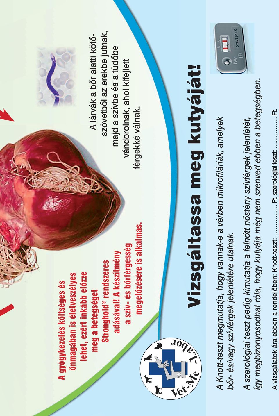 hogyan fertőződhet meg egy személy szívférgekkel