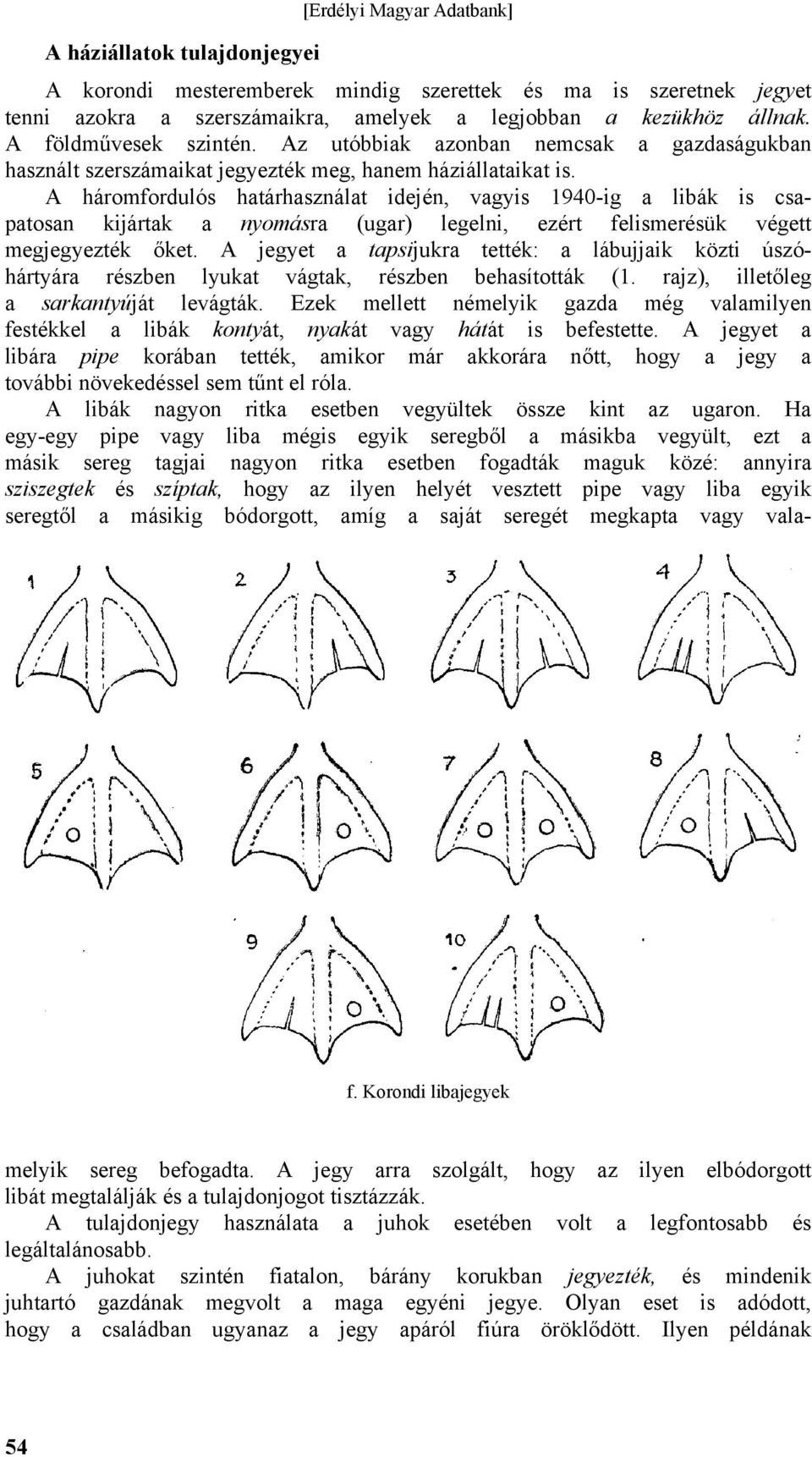 A háromfordulós határhasználat idején, vagyis 1940-ig a libák is csapatosan kijártak a nyomásra (ugar) legelni, ezért felismerésük végett megjegyezték őket.