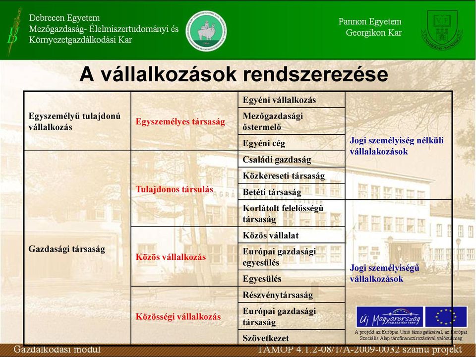 Betéti társaság Korlátolt felelősségű társaság Gazdasági társaság Közös vállalkozás Közös vállalat Európai gazdasági