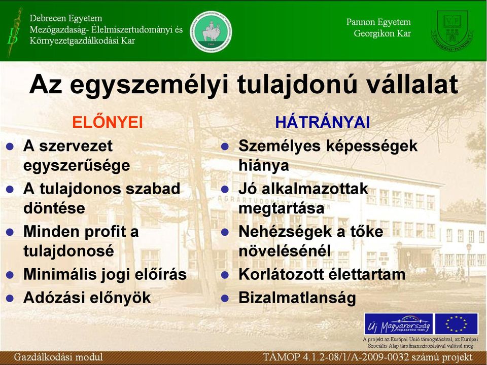 előírás Adózási előnyök HÁTRÁNYAI Személyes képességek hiánya Jó