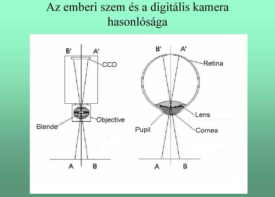 digitális