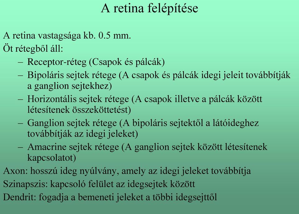 Horizontális sejtek rétege (A csapok illetve a pálcák között létesítenek összeköttetést) Ganglion sejtek rétege (A bipoláris sejtektől a látóideghez