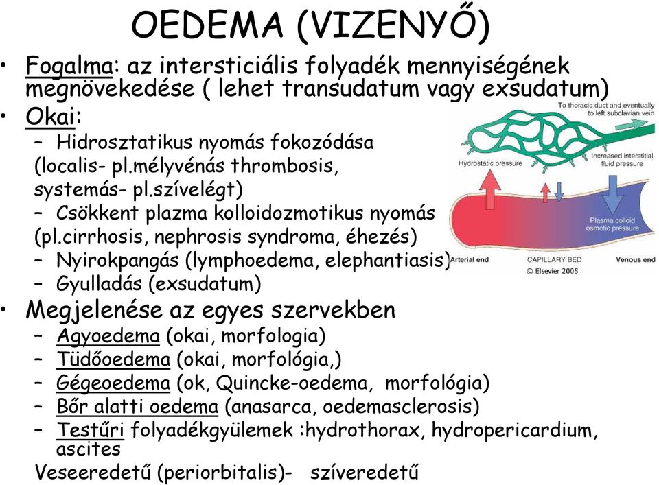 cirrhosis, nephrosis syndroma, éhezés) Nyirokpangás (lymphoedema, elephantiasis) Gyulladás (exsudatum) Megjelenése az egyes szervekben Agyoedema (okai,