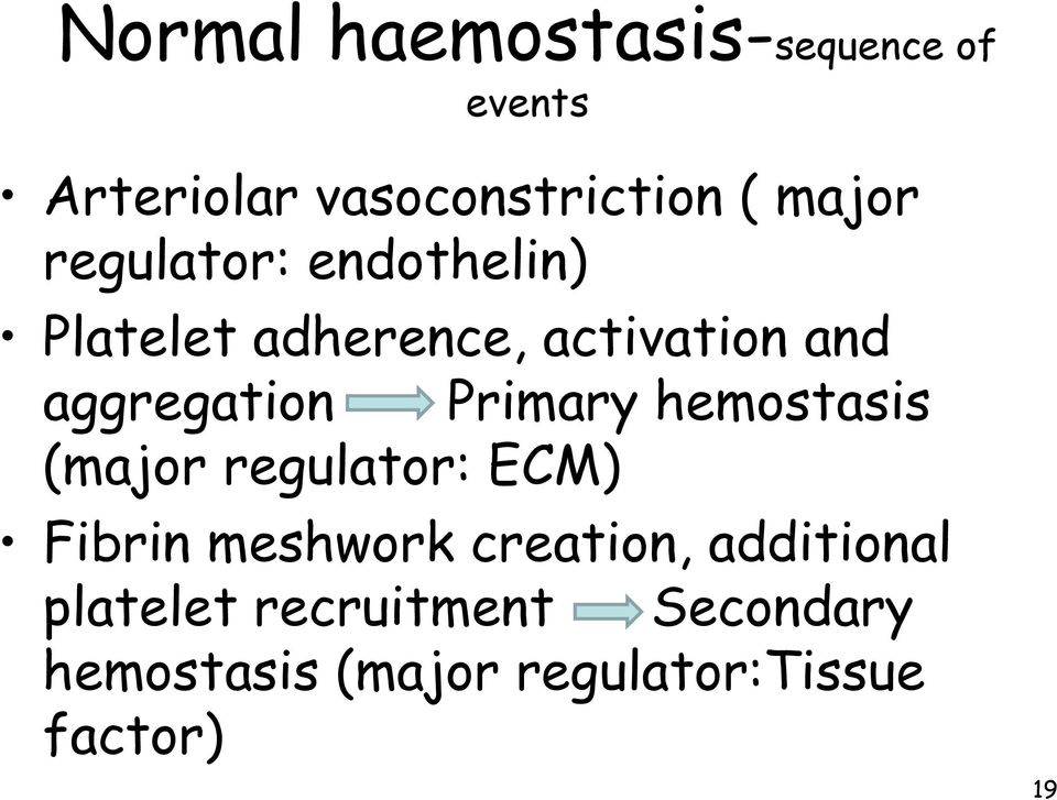 Primary hemostasis (major regulator: ECM) Fibrin meshwork creation,