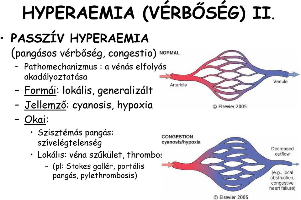 elfolyás akadályoztatása Formái: lokális, generalizált Jellemző: cyanosis,