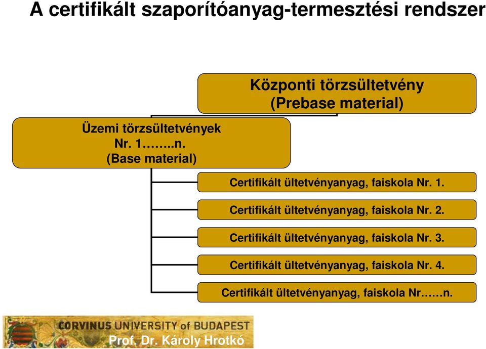 szer Üzemi törzsültetvény