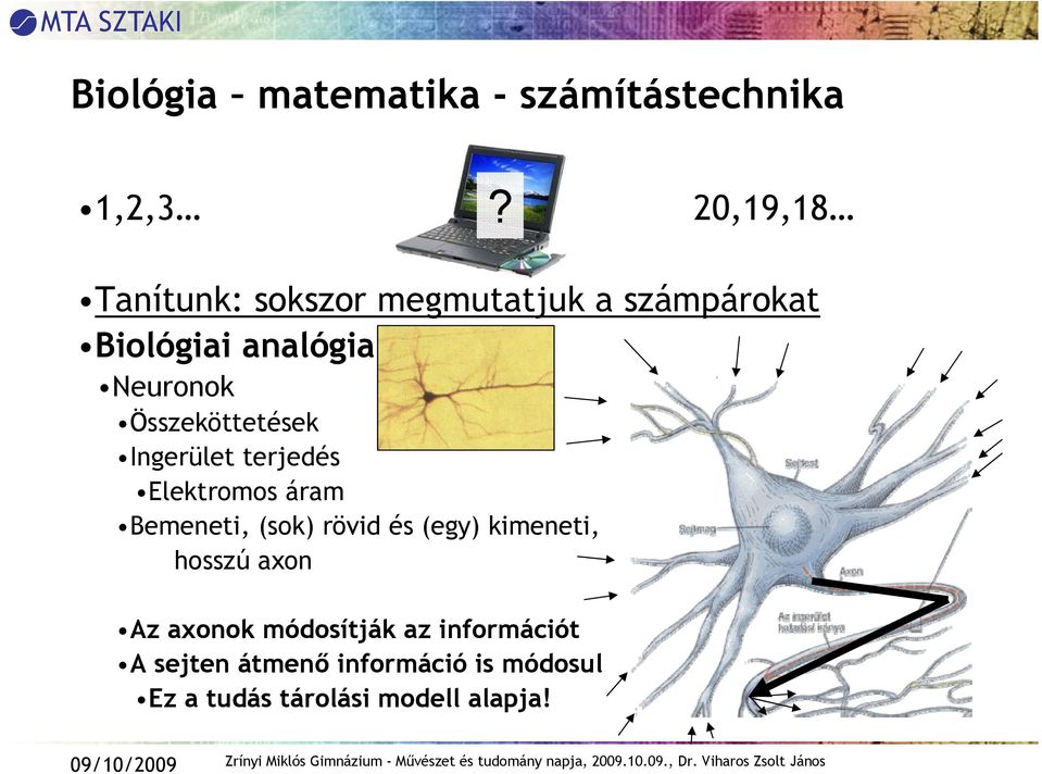 Összeköttetések Ingerület terjedés Elektromos áram Bemeneti, (sok) rövid és (egy)