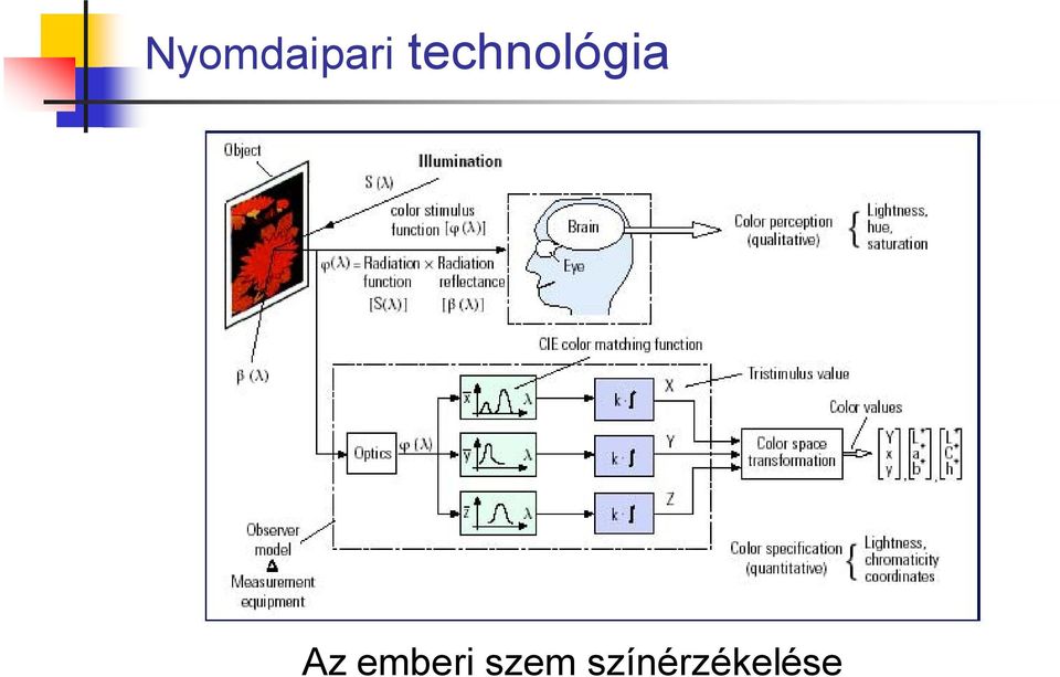 nyomólemez nyomathordozó