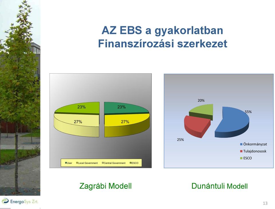 szerkezet 20% 55% 25% Önkormányzat