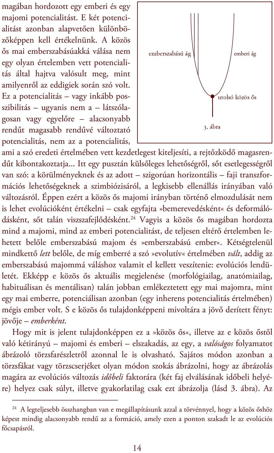 Ez a potencialitás vagy inkább posszibilitás ugyanis nem a látszólagosan vagy egyelőre alacsonyabb rendűt magasabb rendűvé változtató potencialitás, nem az a potencialitás, emberszabású ág emberi ág