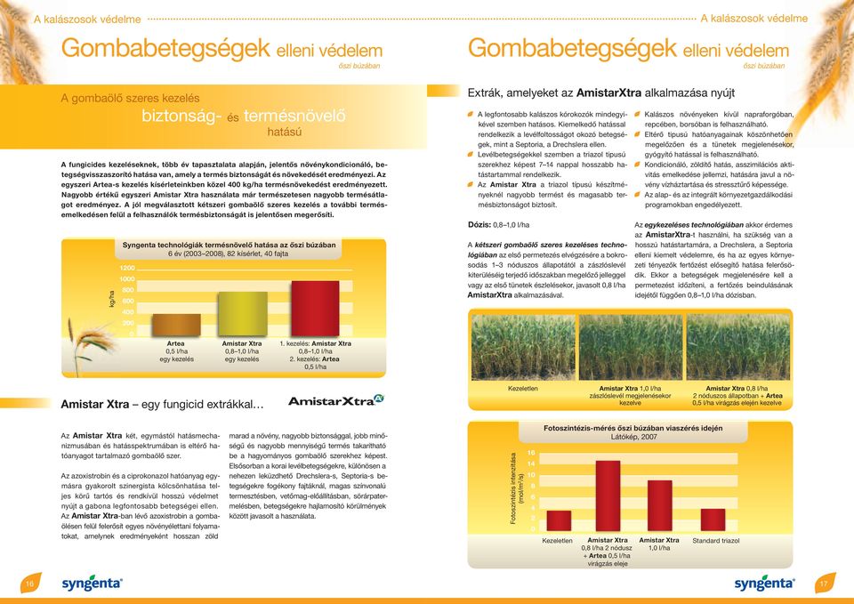 Nagyobb értékű egyszeri Amistar Xtra használata már természetesen nagyobb termésátlagot eredményez.