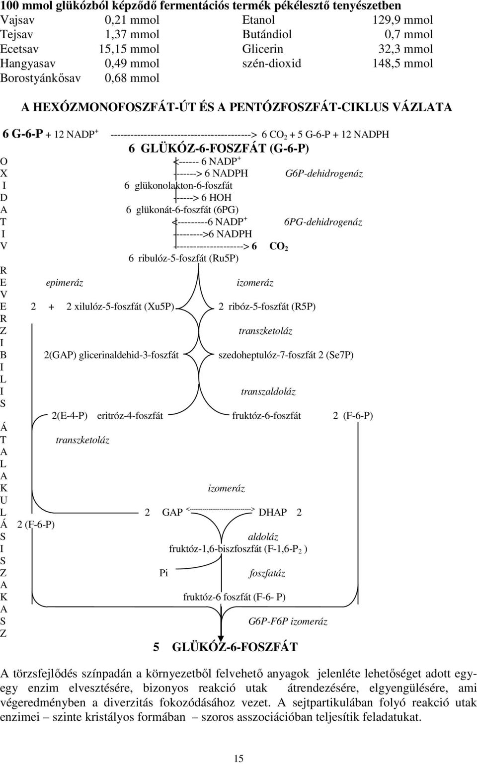 GLÜKÓZ-6-FOSZFÁT (G-6-P) O <------ 6 NADP + X -------> 6 NADPH G6P-dehidrogenáz I 6 glükonolakton-6-foszfát D ------> 6 HOH A 6 glükonát-6-foszfát (6PG) T <---------6 NADP + 6PG-dehidrogenáz I