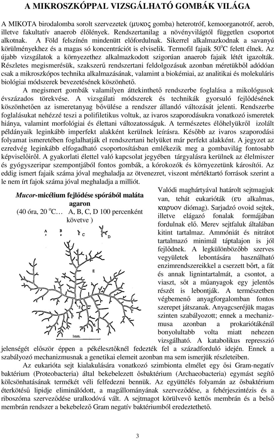 Termofil fajaik 50 o C felett élnek. Az újabb vizsgálatok a környezethez alkalmazkodott szigorúan anaerob fajaik létét igazolták.