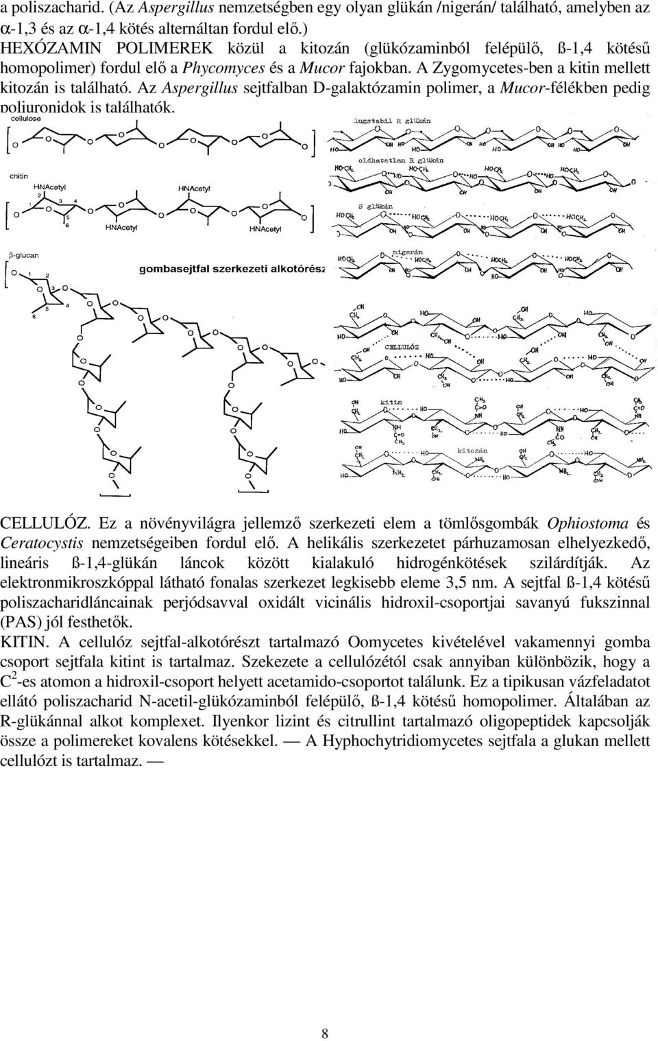 Az Aspergillus sejtfalban D-galaktózamin polimer, a Mucor-félékben pedig poliuronidok is találhatók. CELLULÓZ.