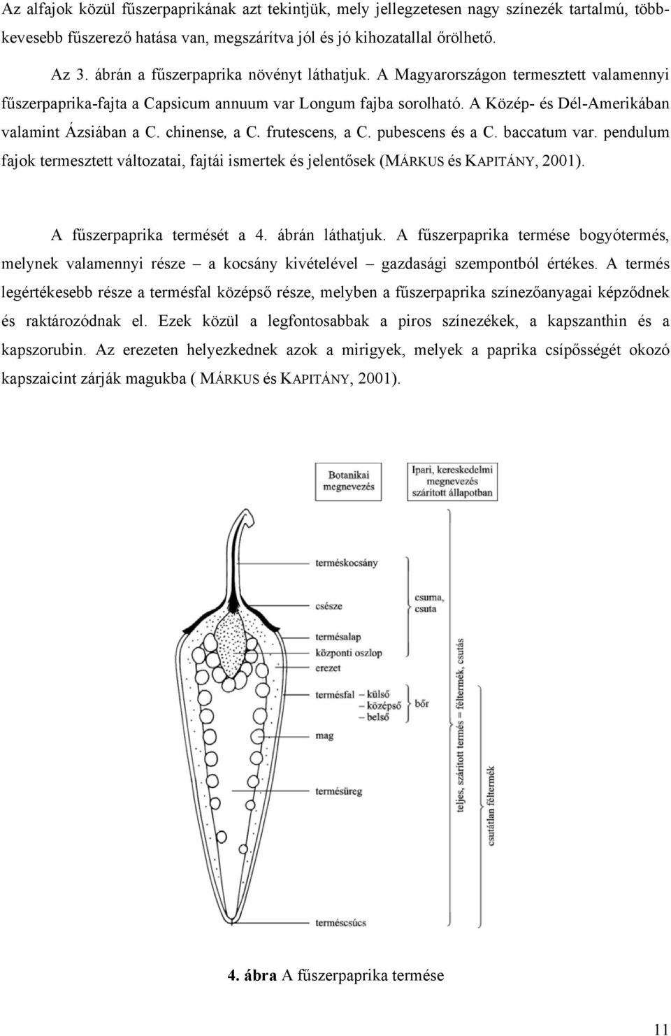 chnense, a C. frutescens, a C. pubescens és a C. baccatum var. pendulum fajok termesztett változata, fajtá smertek és jelentősek (MÁRKUS és KAPITÁNY, 200). A fűszerpaprka termését a 4.