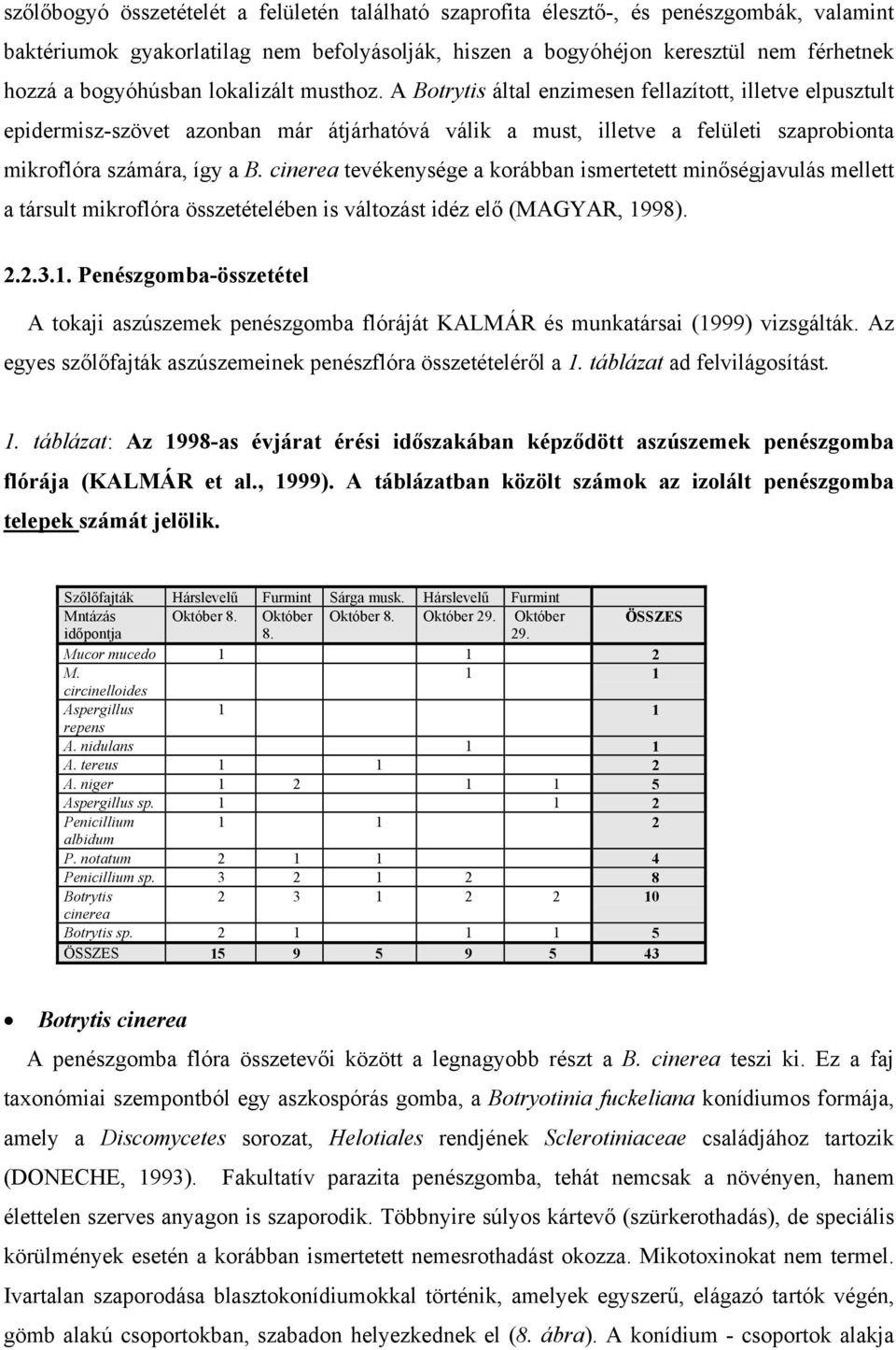 A Botrytis által enzimesen fellazított, illetve elpusztult epidermisz-szövet azonban már átjárhatóvá válik a must, illetve a felületi szaprobionta mikroflóra számára, így a B.