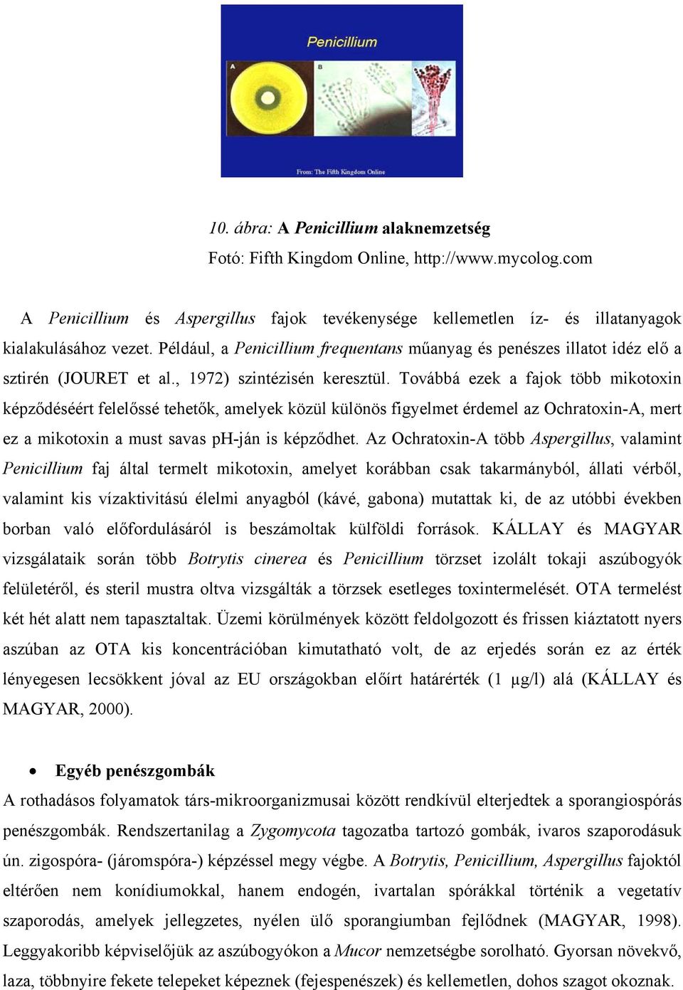 Továbbá ezek a fajok több mikotoxin képződéséért felelőssé tehetők, amelyek közül különös figyelmet érdemel az Ochratoxin-A, mert ez a mikotoxin a must savas ph-ján is képződhet.