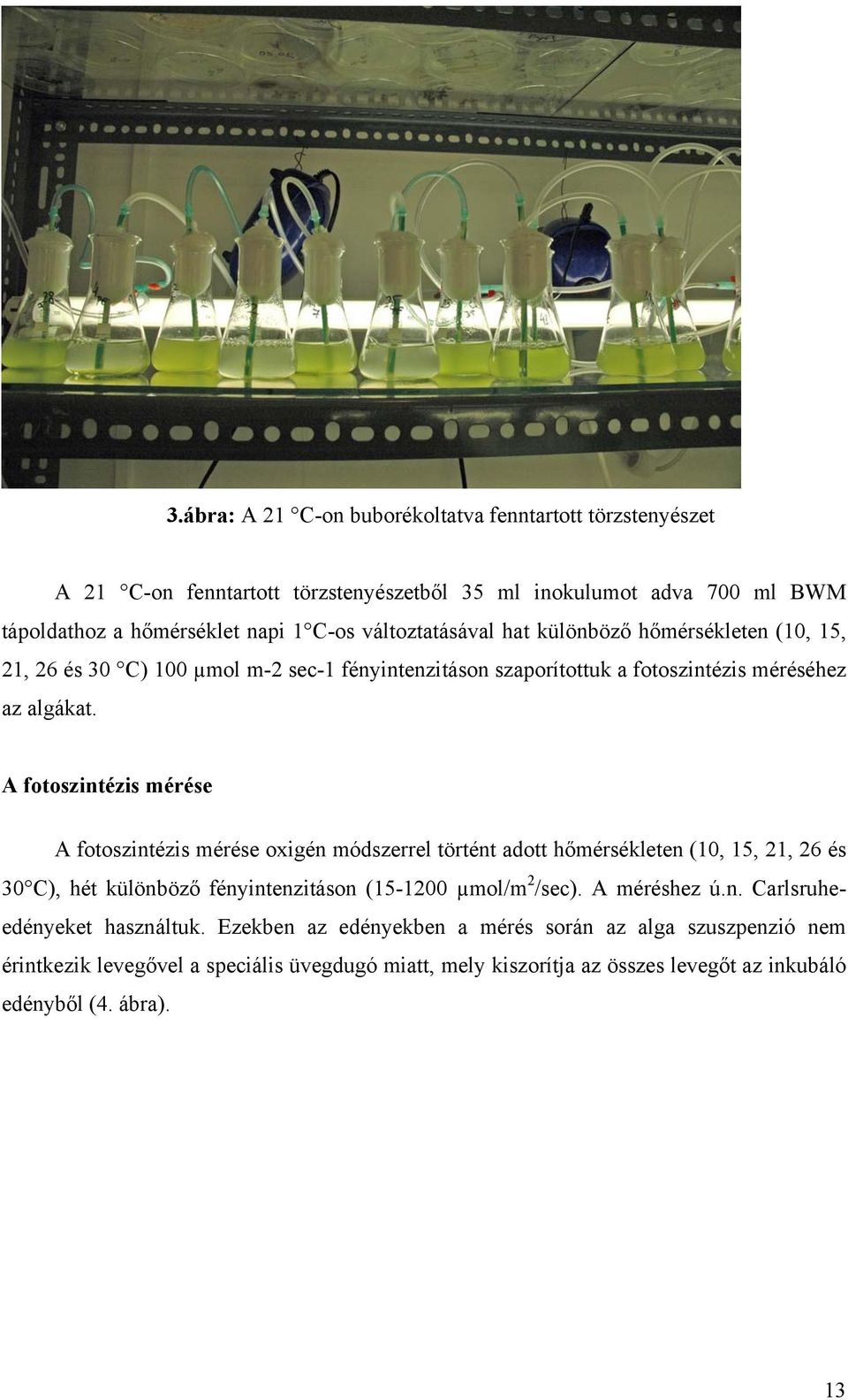 A fotoszintézis mérése A fotoszintézis mérése oxigén módszerrel történt adott hőmérsékleten (10, 15, 21, 26 és 30 C), hét különböző fényintenzitáson (15-1200 µmol/m 2 /sec).