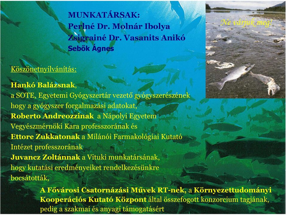 Nápolyi Egyetem Vegyészmérnöki Kara professzorának és Ettore Zukkatonak a Milánói Farmakológiai Kutató Intézet professzorának Juvancz Zoltánnak a Vituki