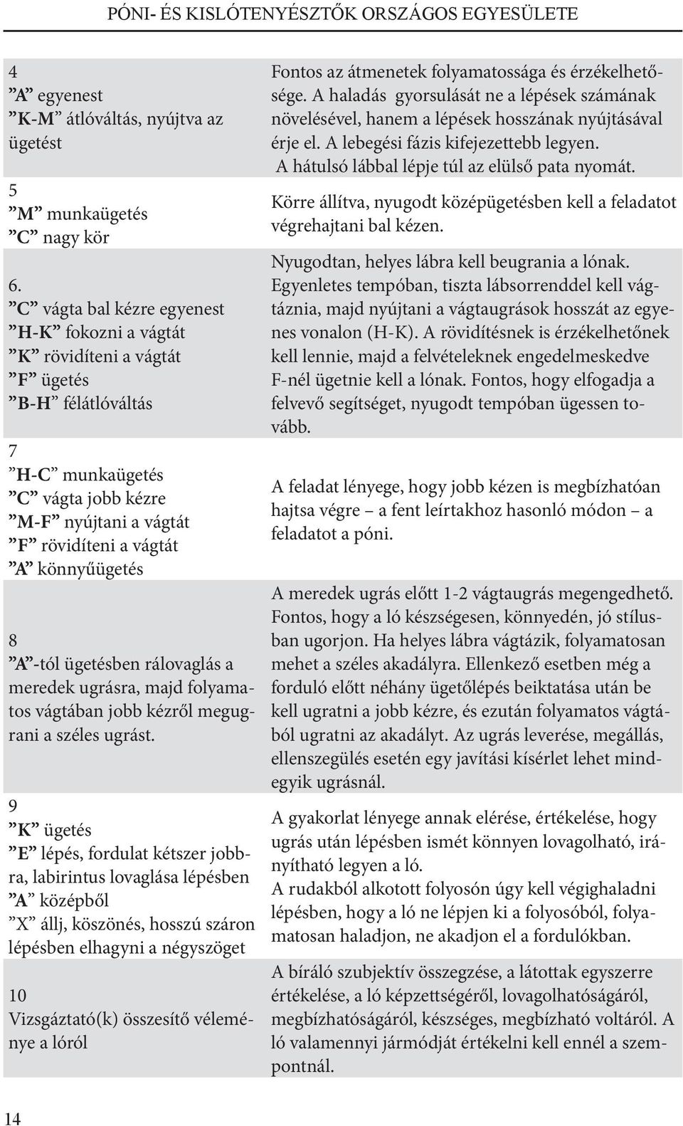 -tól ügetésben rálovaglás a meredek ugrásra, majd folyamatos vágtában jobb kézről megugrani a széles ugrást.