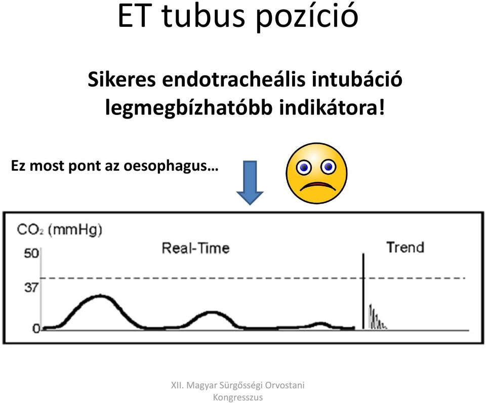 legmegbízhatóbb