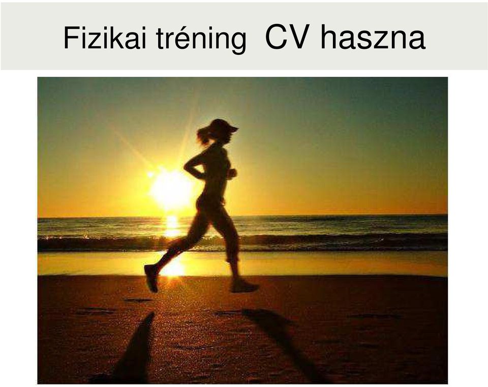 CV haszna