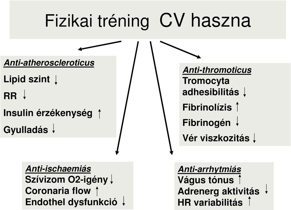 Fibrinogén Vér viszkozitás Anti-ischaemiás Szívizom O2-igény Coronaria flow