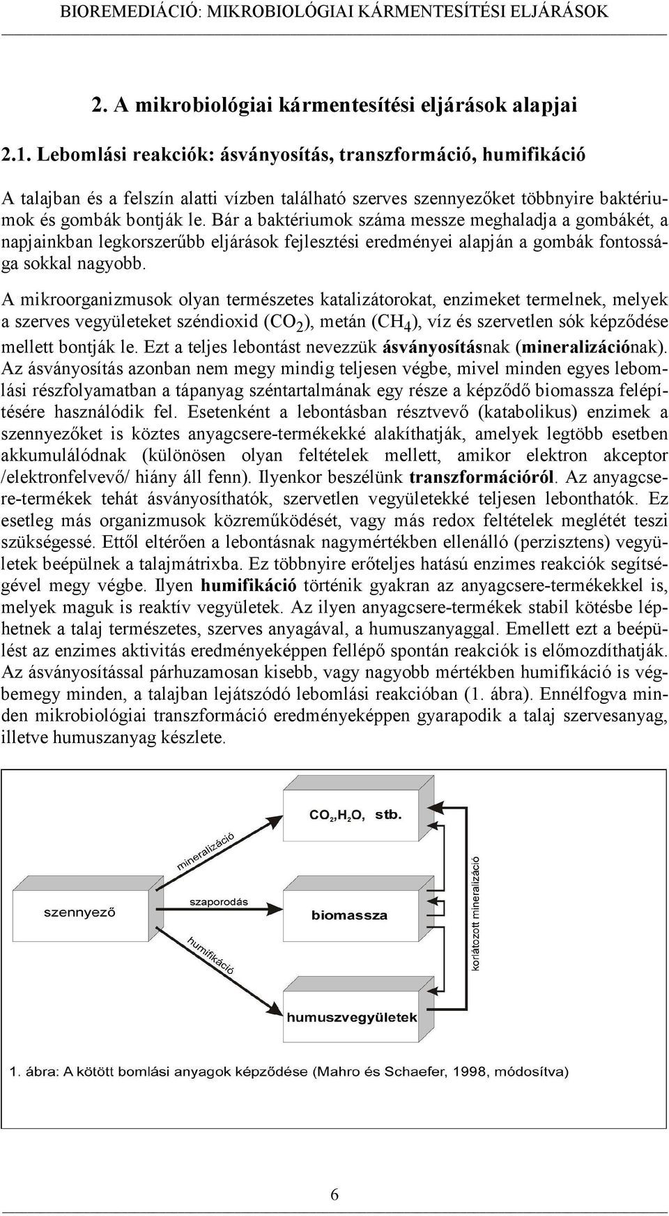 Bár a baktériumok száma messze meghaladja a gombákét, a napjainkban legkorszerűbb eljárások fejlesztési eredményei alapján a gombák fontossága sokkal nagyobb.