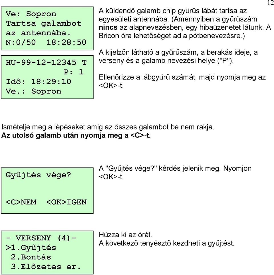 ) A kijelzőn látható a gyűrűszám, a berakás ideje, a verseny és a galamb nevezési helye ("P"). Ellenőrizze a lábgyűrű számát, majd nyomja meg az <OK>-t.