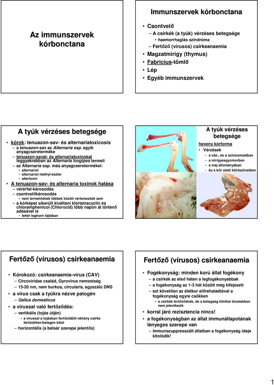 egyik anyagcsereterméke tenuazon-savat- és alternariatoxinokat leggyakrabban az Alternaria longipes termeli az Alternaria ssp.