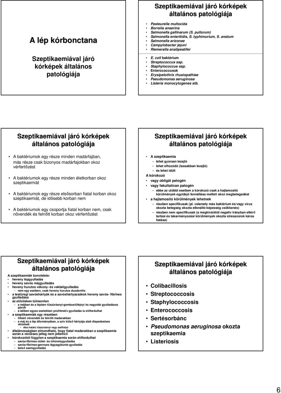 Enterococcusok Erysipelothrix rhusiopathiae Pseudomonas aeruginosa Listeria monocytogenes stb.