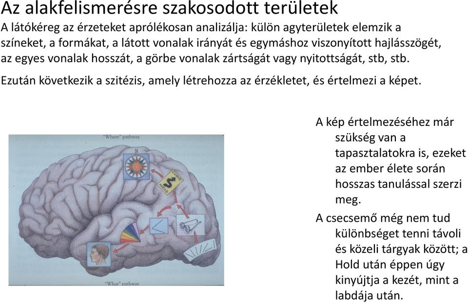 Ezután következik a szitézis, amely létrehozza az érzékletet, és értelmezi a képet.