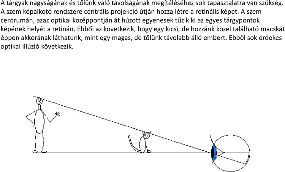 A szem centrumán, azaz optikai középpontján át húzott egyenesek tűzik ki az egyes tárgypontok képének helyét a retinán.