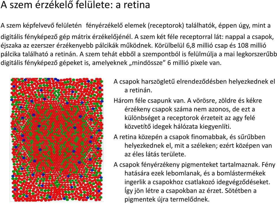 A szem tehát ebből a szempontból is felülmúlja a mai legkorszerűbb digitális fényképező gépeket is, amelyeknek mindössze 6 millió pixele van.